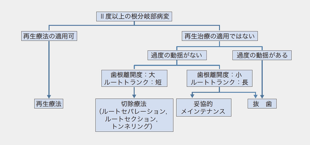 根分岐部病変の治療法決定フロー